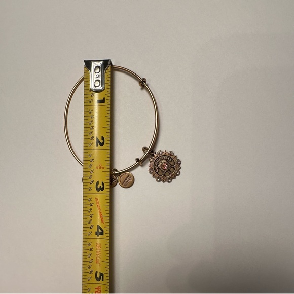 Alex and Ani Maid of Honor My Noble Woman Bracelet 2017 - Picture 6 of 7